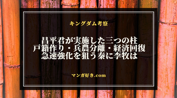 キングダム801話ネタバレ｜昌平君の戦争改革3つの柱は戸籍と常備軍と経済｜展開考察