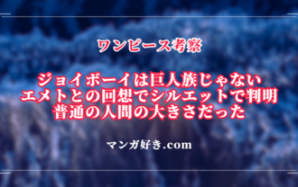 ジョイボーイは巨人族じゃない！エメトとの回想でシルエットが普通の人間の大きさだった｜ワンピース考察